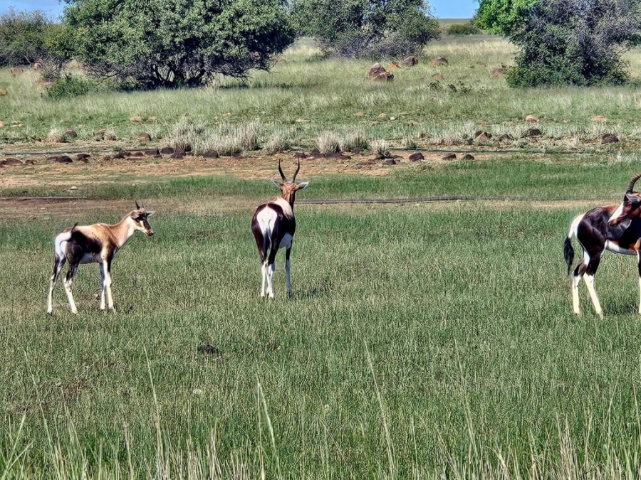 3 Bedroom Property for Sale in Bloemfontein Rural Free State